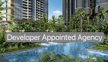 developer-appointed-agency.